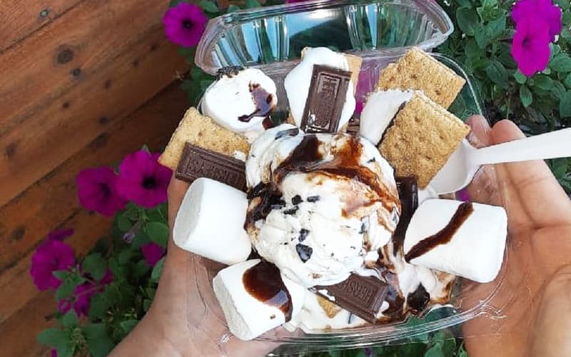 A hand holding a clear container of ice cream topped with marshmallows, graham crackers, chocolate bars, and chocolate sauce, surrounded by colorful flowers.