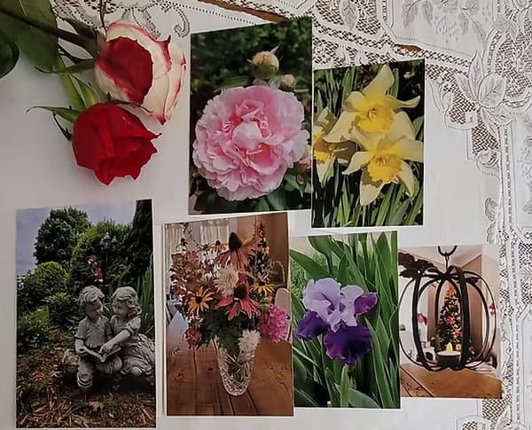 A collection of floral photographs and a rose arranged on a lace tablecloth.